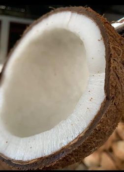 coconut Quality best natural Place of Origin - Pt ragil jaya mandiri project - Indonesia