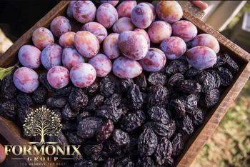Dried Plums Flavor Natural Plum Flavor Usage Direct Consumption Or In Culinary Dishes Purity 100% Dried Plums, No Added Sugar Or - FORMONIX GROUP - Romania