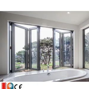 Apartment Aluminium Doors Windows Aluminum Window and Door Profile - Foshan Hanse Industrial Co., Ltd. - China