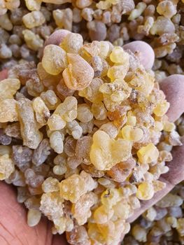 Gum Olibanum Packaging 25kg Place of Origin Egypt Active Components Boswellic Acids Intended Applications Religious Ceremonies, Incense, Perfumes - Khirat Baladna KB for import & export - Egypt