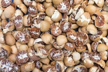 Premium Indonesia Dried Betel Nuts (Areca Nuts) | Whole, Split 80/85 - 90/95 & Boiled Grades | Export Bulk Supply from PT SAWA GLOBAL INDONESIA Premium Indonesia Dried Betel Nuts (Areca Nuts) | Whole, Split 80/85 - 90/95 & Boiled Grades | Export Bulk Supply - PT SAWA GLOBAL INDONESIA - Indonesia