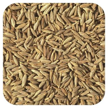 Premium Cumins Seeds – 99% Sortex Clean Premium Grade Indian Cumin Seeds from Aditya Food Product Premium Cumins Seeds – 99% Sortex Clean Premium Grade Indian Cumin Seeds - Aditya Food Product - United Arab Emirates
