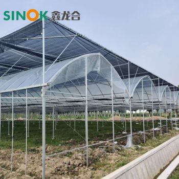 Multi Span Plastic Film Greenhouse Film Po/PE Span Multi Size Large Origin China Trademark Sinok Width Customized Location - Shandong Sinok Agriculture Technology Co., Ltd. - China