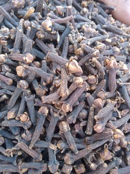 Wholesale Price Dry Cloves High Quality Whole Clove Dried Cloves Whatsap +255787979235/ +255795279787 - AL JABLI TRADING COMPANY LIMITED - Tanzania