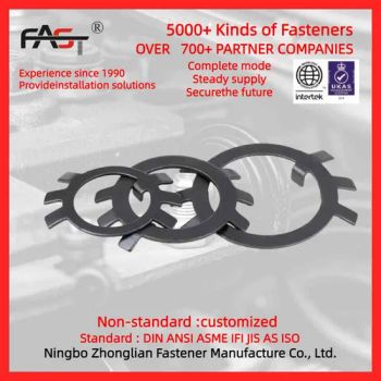 Manufacturer Steel Stainless Steel Flat Gaskets Washers - Ningbo Zhonglian Fastener Manufacture Co., Ltd. - China