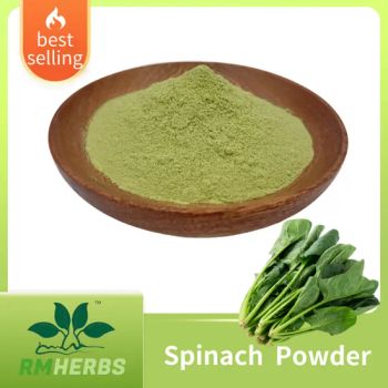 Natural Food Grade Instant Spinach Extract /Spinach Juice Powder/Spinach Powder - Baoji Embellish Wood Agricultural Development Co., Ltd - China