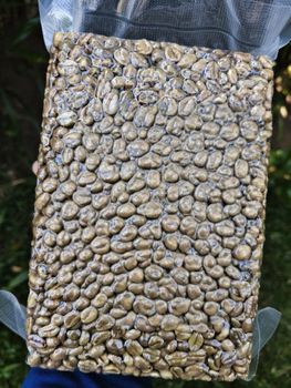 Specialty Coffee Beans