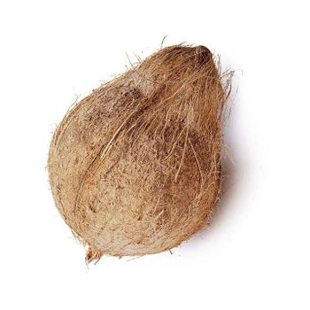High Quality Fresh Dehusked Coconuts / fresh coconuts(larger size) - CHHC AGR0-CHEMICAL PRODUCTS WHOLESALING - Philippines