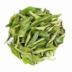 Curry Leaves Aroma Strong Color Vibrant Green Packaging 25 kg - 50 kg Flavor Slightly Citrusy Purity Free From Pesticides - Jaishnavi Exports - India