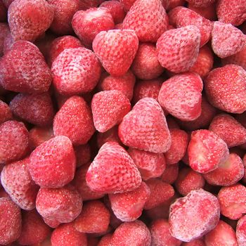 Wholesale Bulk IQF Fruits High Quality Natural Organic Frozen Strawberry - Qingao Harthn-Ritune Corp., Ltd. - China