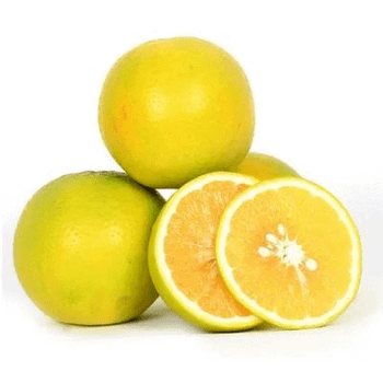 Orange – product photo, Fresh Orange Fruit products found from trusted suppliers, wholesalers, manufacturers & exporters Listing