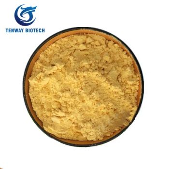 100% Pure Lactose Free Vagan No Yolking Egg White Powder at Factory Price - Hangzhou Tenway Biotechnology Co., Ltd. - China