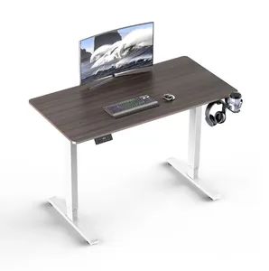 Automatic Height-Adjustable Desks Dual Motor Electric Lifting Desk - Ningbo Hyronsun Imp. & Exp. Co., Ltd. - China