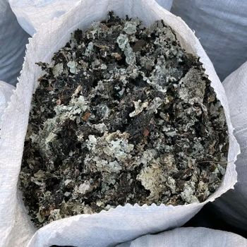 Black Stone Flower - Texas Trust Multidynamic Inspection Ltd - Nigeria