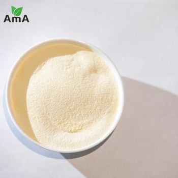 Fish Amino Acid Yellow Powder CAS 9012-00-4 Organic Fertilizer Leaf Fertilizer - Sichuan Shihong Technology Co., Ltd - China