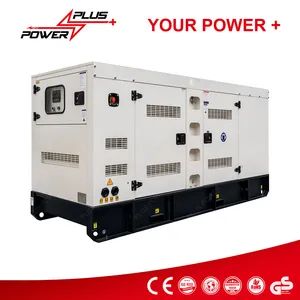 320kw 400kVA Plus Power Ricardo Super Silent Diesel Power Generators - PLUS POWER MACHINERY CO., LTD. - China