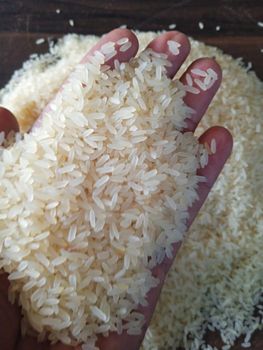 IR64 Parboiled 5% Broken Rice - Ali Exim and Global - India