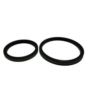 Hydraulic Cylinder Piston Seal Rubber Oil Seal - Qingdao Micro Precision Machinery Co., Ltd. - China