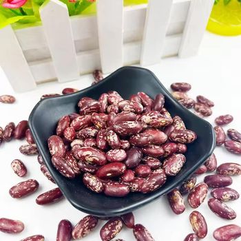 High Quality Red Speckled Beans Natural Whole Seeds Clean Fresh Dried Protein Rich Pulse Perfect For Healthy Diet Cooking And Food Processing Industry Buy Today Fast Delivery Premium Quality Wholesale from wood traders High Quality Red Speckled Beans Natural Whole Seeds Clean Fresh Dried Protein Rich Pulse Perfect For Healthy Diet Cooking And Food Processing Industry Buy Today Fast Delivery Premium Quality Wholesale - wood traders - Poland