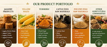 Double polished Turmeric Fingers - Gurukrupa Traders - India