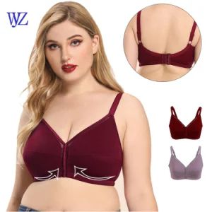 Wholesale Big Cup Size Top Quality Plus Size Fancy Womens Girls Bra - Dongguan weiyizao import and Export Co., Ltd. - China