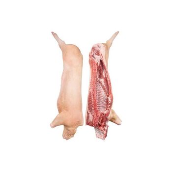 Fast delivery frozen pork carcass for bulk purchasing export trade and commercial supply from MT Trading GmbH Fast delivery frozen pork carcass for bulk purchasing export trade and commercial supply - MT Trading GmbH - Germany