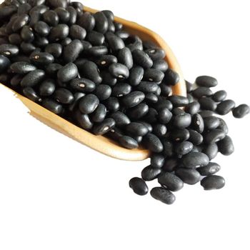 QUALITY BLACK/RED KIDNEY BEANS READY FOR EXPORT. WHATSAP +255787979235 from AL JABLI TRADING COMPANY LIMITED QUALITY BLACK/RED KIDNEY BEANS READY FOR EXPORT. WHATSAP +255787979235 - AL JABLI TRADING COMPANY LIMITED - Tanzania