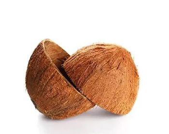 High Quality 100% Coconut Shell +255787979235 - AL JABLI TRADING COMPANY LIMITED - Tanzania