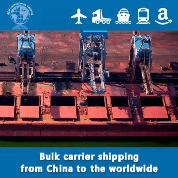 Swift Delivery Professional International Bulk Cargo Freight Forwarding Services From China to The Netherlands/Belgium/ - Shenzhen Best Service(BSW) International Logistics Co., LTD - China