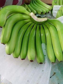 Fresh Green Cavendish Bananas in 13.5kgs Carton Box -  DAEWKAEW PANTAMANG Co., Ltd - Thailand