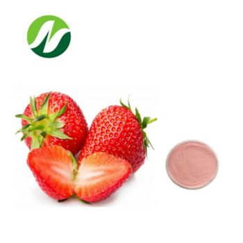 Hot Selling 4: 1~20: 1 Strawberry Juice Powder - Hangzhou Kindherb Biotechnology Co., Ltd. - China