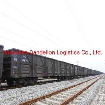 Rail/Railway Shipping Agent Transport From Shenzhen to Spain (DDP)  - Shenzhen Dandelion Logistics Co., Ltd. - China