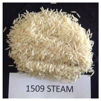 Basmati 1509 - Honest Origin Good Foodstuff Trading LLC - United Arab Emirates