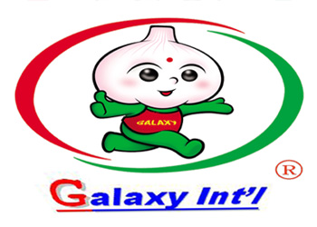 fresh new crop pure white and normal white garlic with best quality from SHANDONG GALAXY fresh new crop pure white and normal white garlic with best quality - SHANDONG GALAXY - China