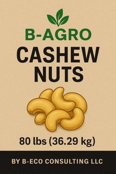 Raw Cashew Nuts - B-Eco Consulting LLC - United States
