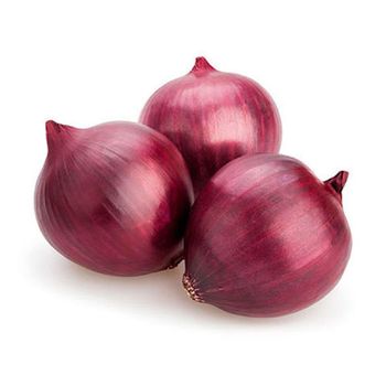 Large Fresh Onion Premium Bulbs Carefully Harvested And Packed For Exporters - THE GREEN INTERNATIONAL LIMITED - Tanzania