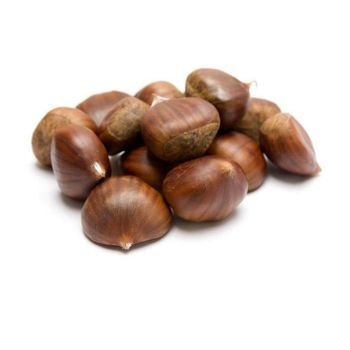Excellence Price Export Natural Wholesale Cheap Raw No Peel Fresh Sweet Chestnut -  CALIPSO POLSKA SP Z OO  - Poland
