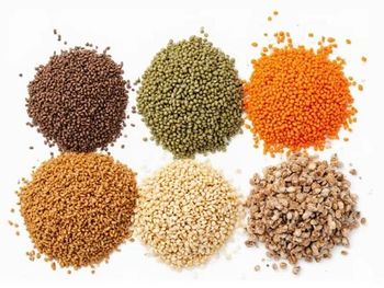 LENTILS – product photo, Dried Brown Lentils products found from trusted suppliers, wholesalers, manufacturers & exporters Listing