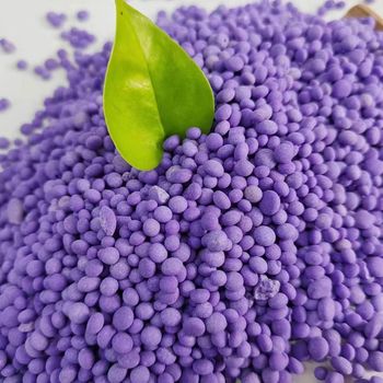 Agricultural NPK Mixed Fertilizer 14 14 14 For Strong Root Development Green Leaves And Better Harvest Production - Carla Pisselli Commercio - Brazil