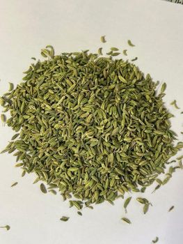 Fennel Seeds Purity 99% Admixture 1% Ash Content 8% Foreign Matter 1% Moisture Content 10% Form Whole, Dried Seeds Color Green To Yellowish-brown - MY COCOA - Cameroon