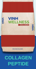 Hydrolyzed Fish Collagen Peptides 2000-3000 Da - Vinh Wellness VN - Vietnam