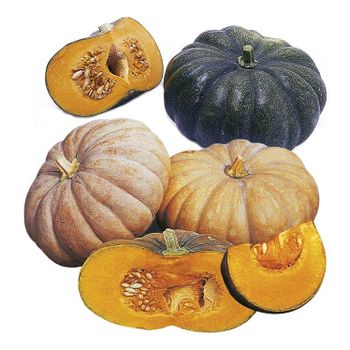 Pumpkins - Pearl Organic Farm Produce Uganda - Uganda