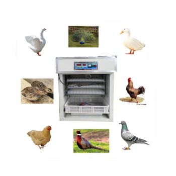 Farm Automatic Ostrich Turtle Chicks Ducklings Poultry Egg Incubator for Sale - Zhengzhou Xiangkun Machinery Co., Ltd. - China