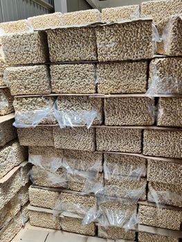 Cashew nuts Form Peeled - MNK Agriventures Ltd - Tanzania