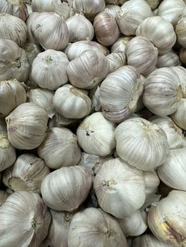 fresh garlic Shelf Life 3 Months Texture More Delicate Flavor Milder, Sweeter Storage Condition Dry Place Primary Use Salad, Sauce, Light - searock onion exporter & trader - India