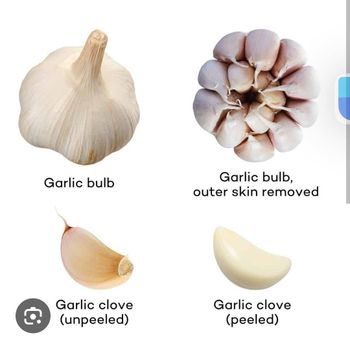 GARLIC PASTE - Aditi organic - India
