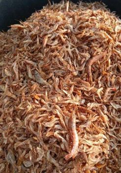 Oron Crayfish - Jirabifood - Nigeria