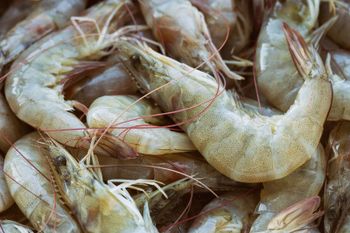 Ecuadorian Farm Raised White Shrimp - Pescatlantic Group LLC - United States