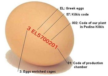 Fresh. Table eggs from Wanga Farm Fresh. Table eggs - Wanga Farm - Greece