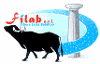 Product - FILIERA LATTE BUFALINO S.R.L. - FILAB S.R.L. - Italy